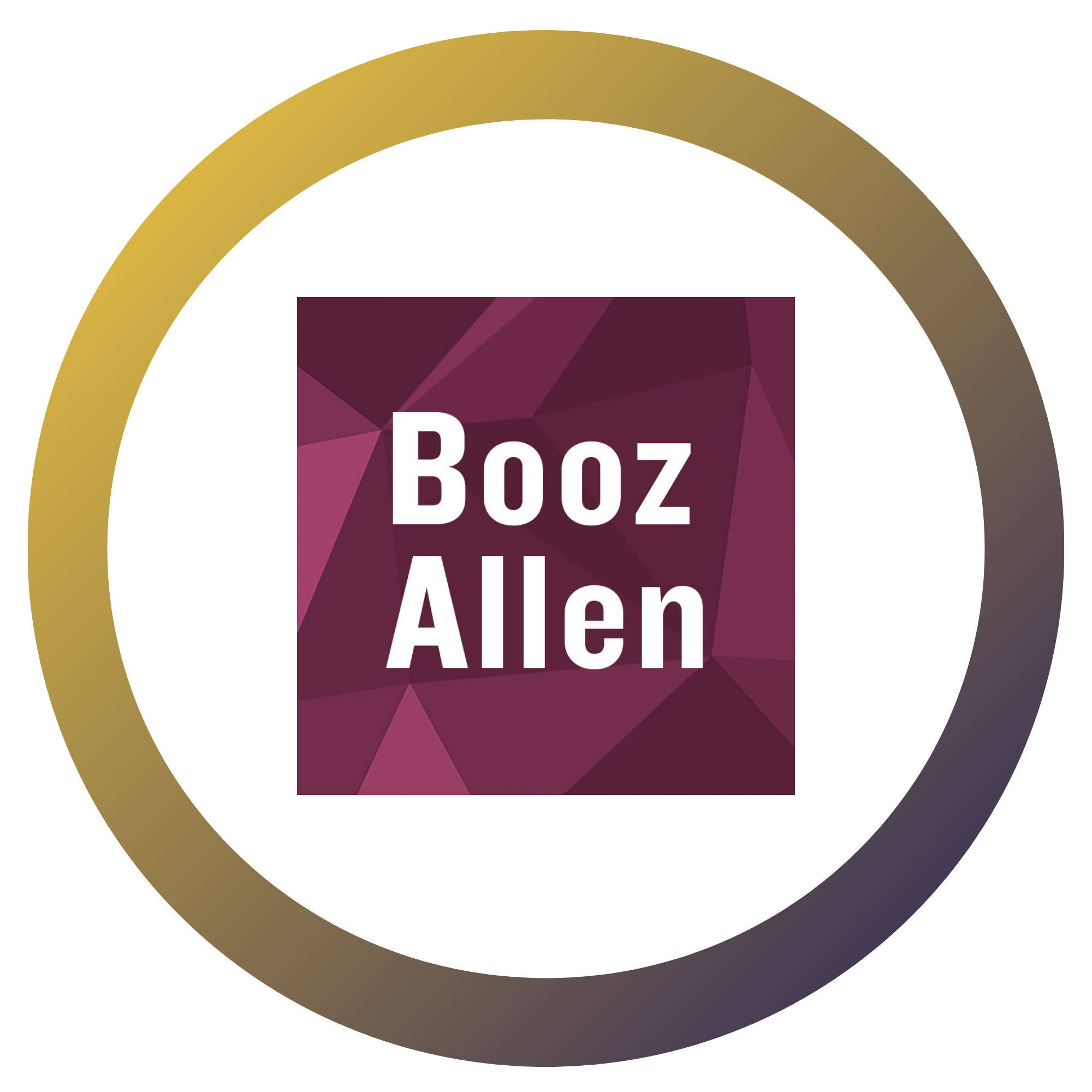 Booz Allen-1