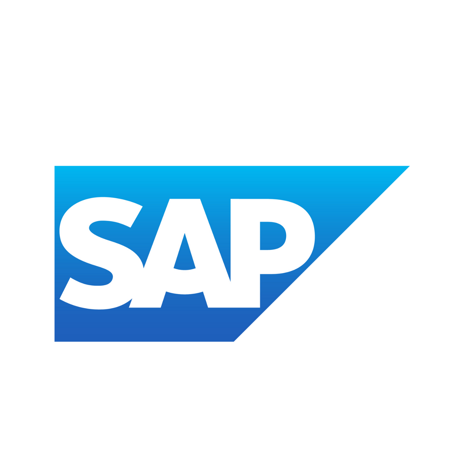 ENTERPRISE - SAP-1