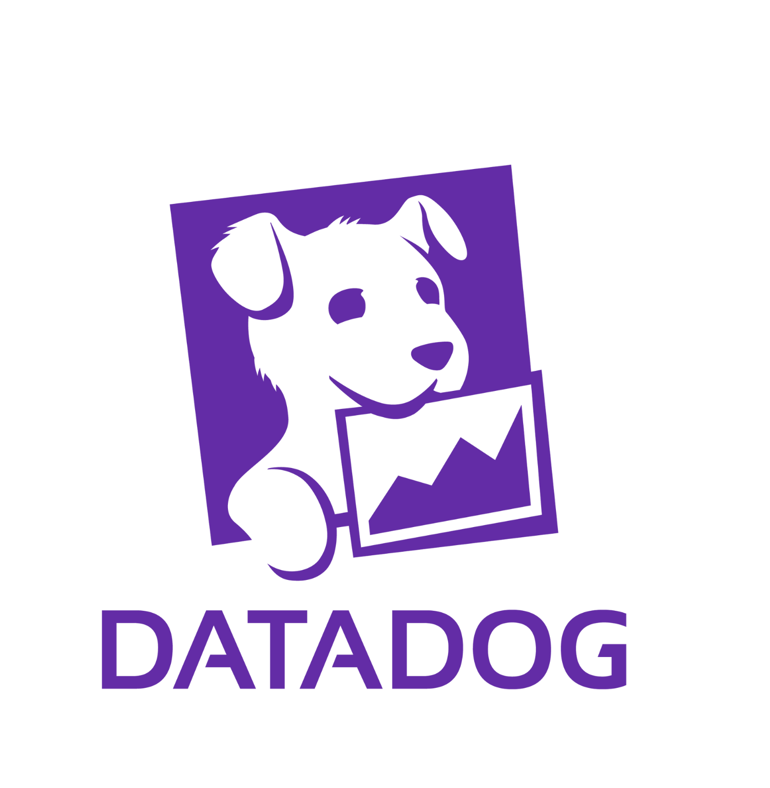 LARGE - Datadog_1