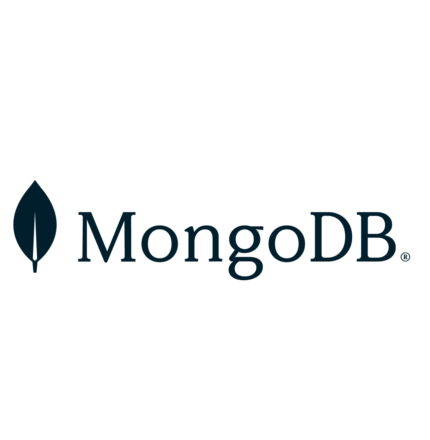 LARGE - Mongo DB_1