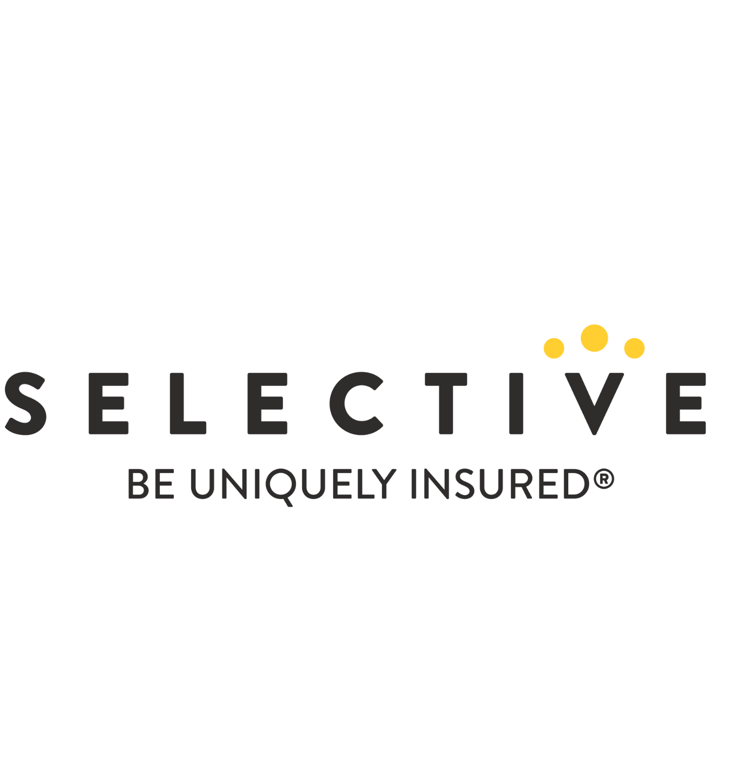 MID-SIZE - Selective Insurance-1