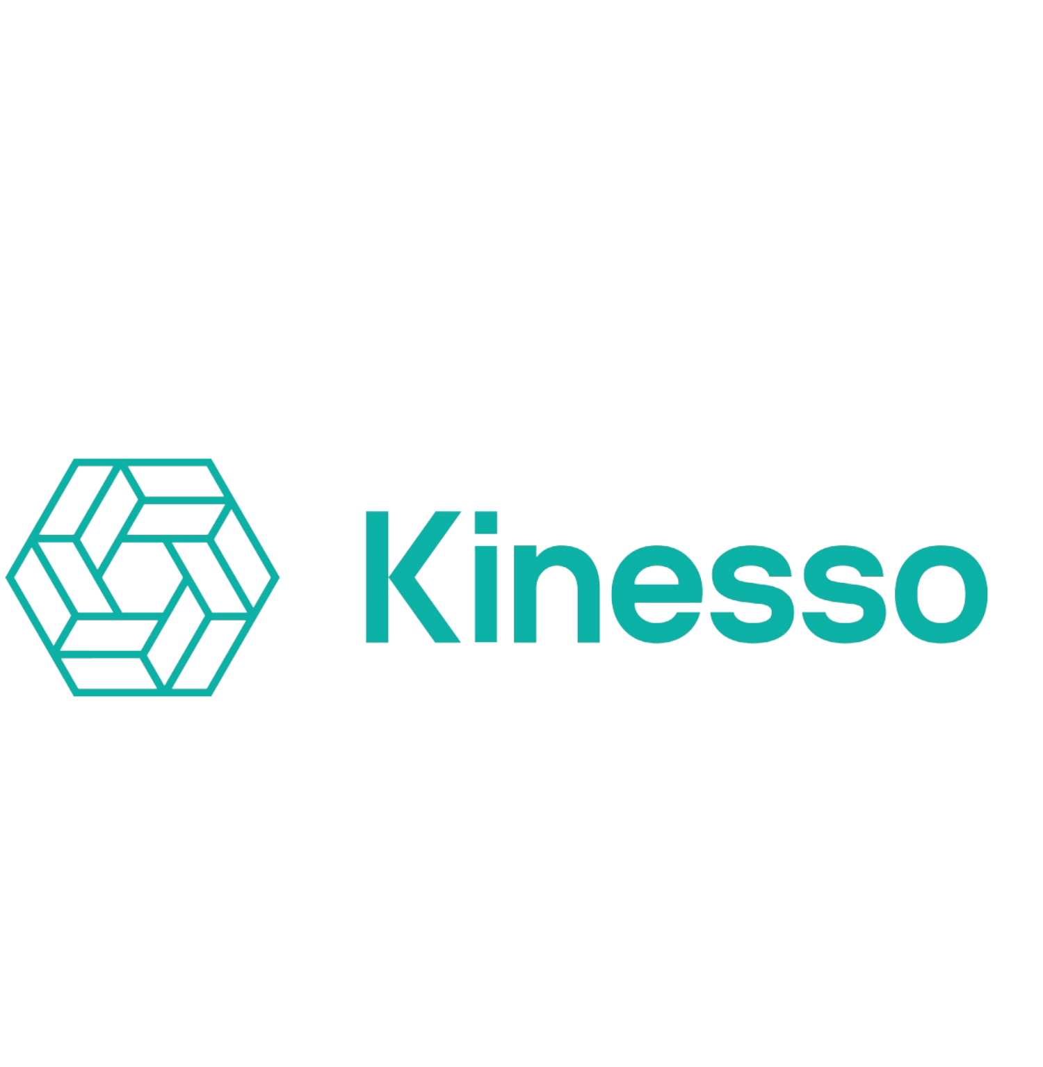 SMALL - Kinesso-1