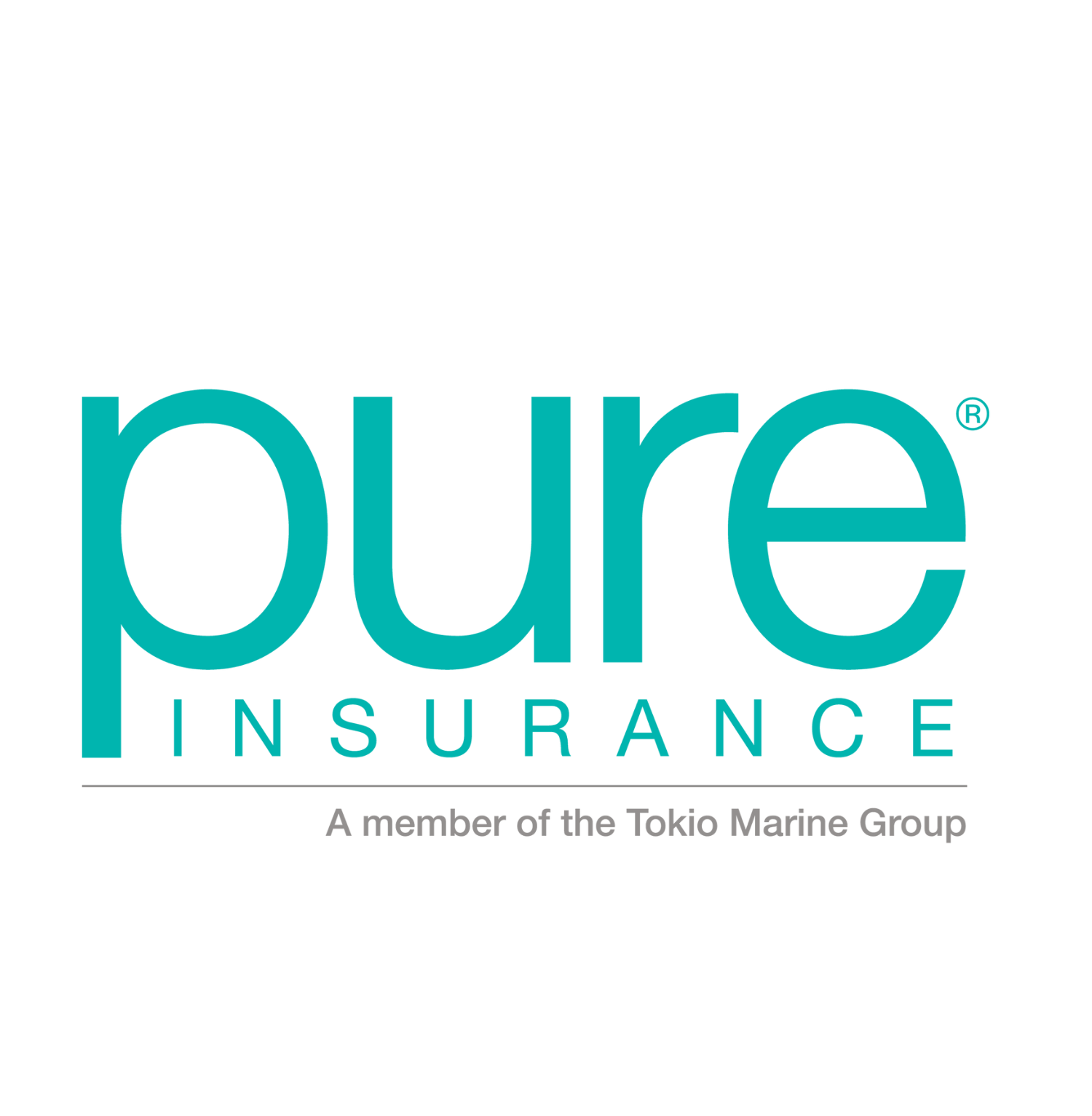 SMALL - PURE Insurance-1