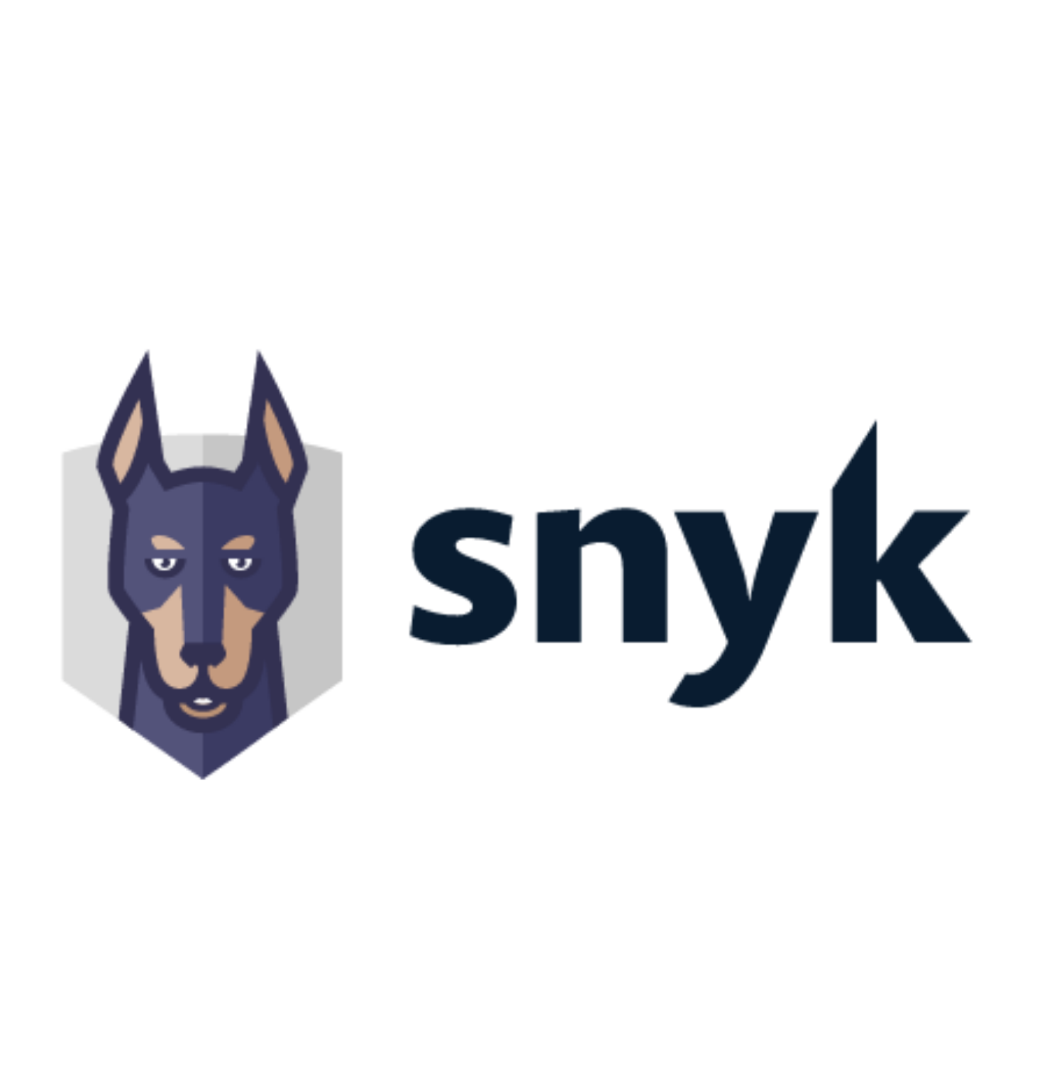 SMALL - Snyk-1