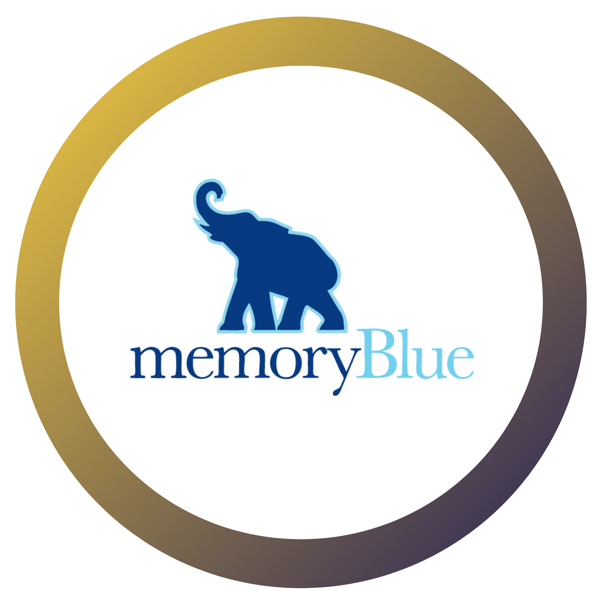 memoryBlue-1